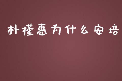 朴槿惠为什么安培_https://cj001.lansai.wang_金融问答_第1张