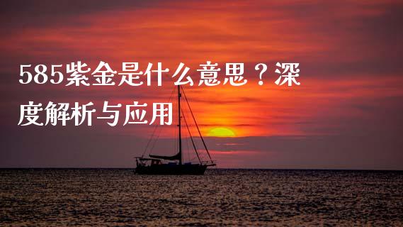 585紫金是什么意思？深度解析与应用_https://cj001.lansai.wang_会计问答_第1张