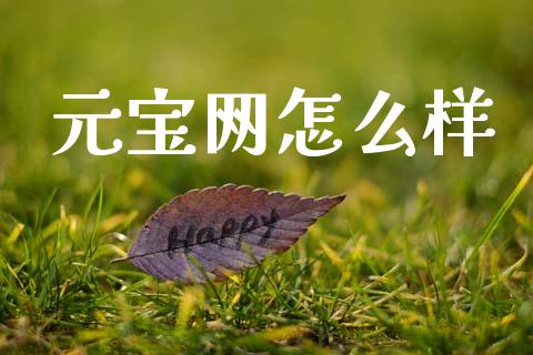 元宝网怎么样_https://cj001.lansai.wang_股市问答_第1张