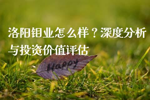 洛阳钼业怎么样？深度分析与投资价值评估_https://cj001.lansai.wang_财经百问_第1张