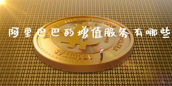 阿里巴巴的增值服务有哪些_https://cj001.lansai.wang_理财问答_第1张