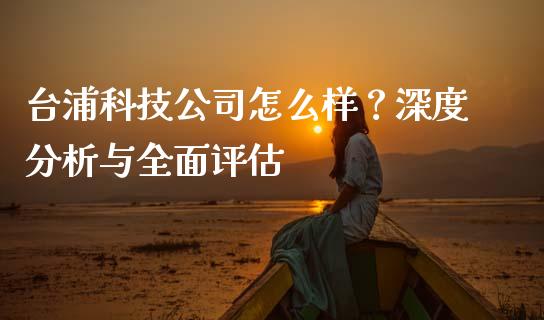 台浦科技公司怎么样？深度分析与全面评估_https://cj001.lansai.wang_保险问答_第1张