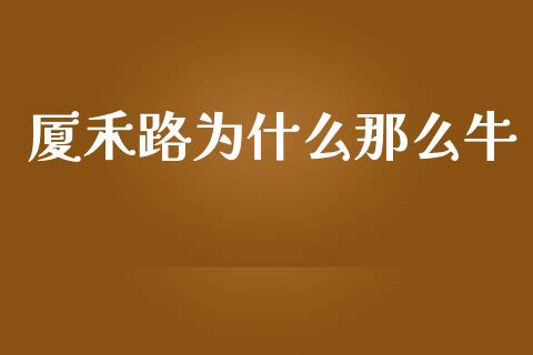 厦禾路为什么那么牛_https://cj001.lansai.wang_金融问答_第1张