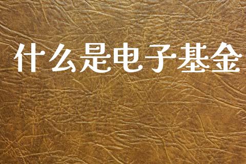 什么是电子基金_理财问答_第1张_财经百问网 什么是电子基金_https://cj001.lansai.wang_理财问答_第1张
