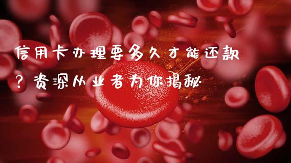 信用卡办理要多久才能还款？资深从业者为你揭秘_https://cj001.lansai.wang_会计问答_第1张