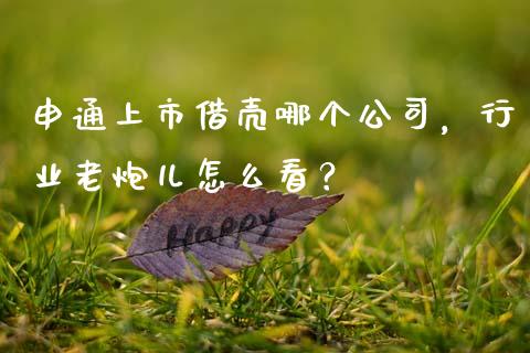 申通上市借壳哪个公司，行业老炮儿怎么看？_https://cj001.lansai.wang_理财问答_第1张