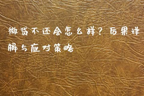微贷不还会怎么样？后果详解与应对策略_https://cj001.lansai.wang_理财问答_第1张