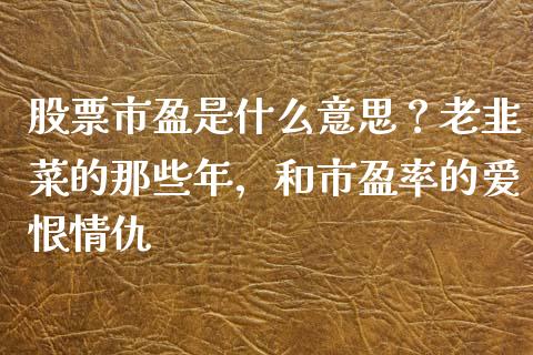 股票市盈是什么意思？老韭菜的那些年，和市盈率的爱恨情仇_https://cj001.lansai.wang_理财问答_第1张
