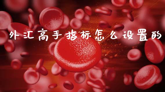 外汇高手指标怎么设置的_https://cj001.lansai.wang_财经问答_第1张