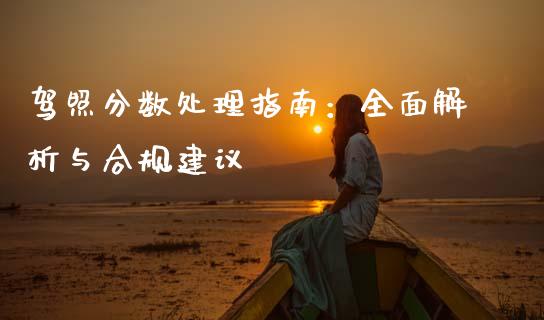 驾照分数处理指南：全面解析与合规建议_https://cj001.lansai.wang_财经问答_第1张