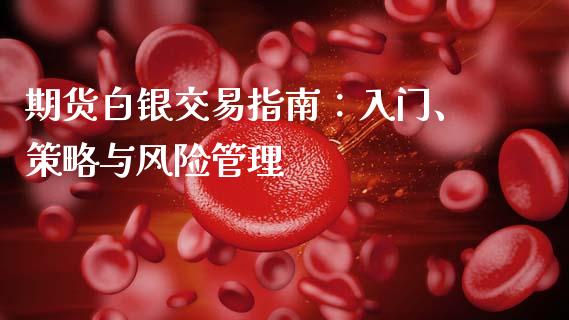 期货白银交易指南：入门、策略与风险管理_https://cj001.lansai.wang_会计问答_第1张