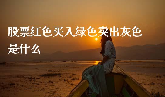 股票红色买入绿色卖出灰色是什么_https://cj001.lansai.wang_期货问答_第1张