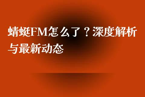 蜻蜓FM怎么了？深度解析与最新动态_https://cj001.lansai.wang_会计问答_第1张