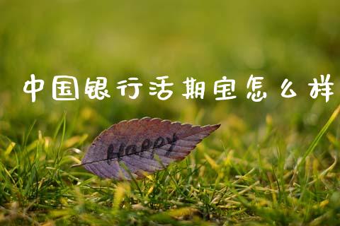 中国银行活期宝怎么样_https://cj001.lansai.wang_金融问答_第1张