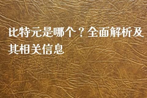 比特元是哪个？全面解析及其相关信息_https://cj001.lansai.wang_理财问答_第1张