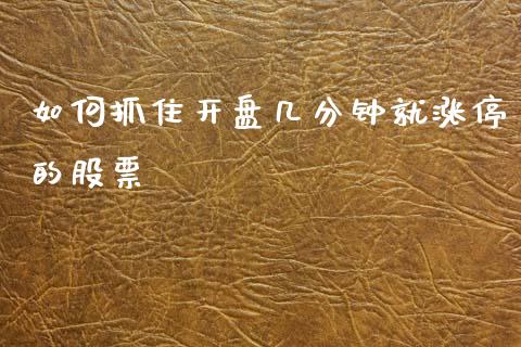 如何抓住开盘几分钟就涨停的股票_https://cj001.lansai.wang_股市问答_第1张