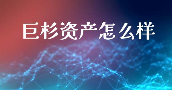 巨杉资产怎么样_https://cj001.lansai.wang_会计问答_第1张