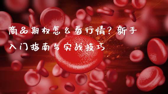 商品期权怎么看行情？新手入门指南与实战技巧_https://cj001.lansai.wang_理财问答_第1张