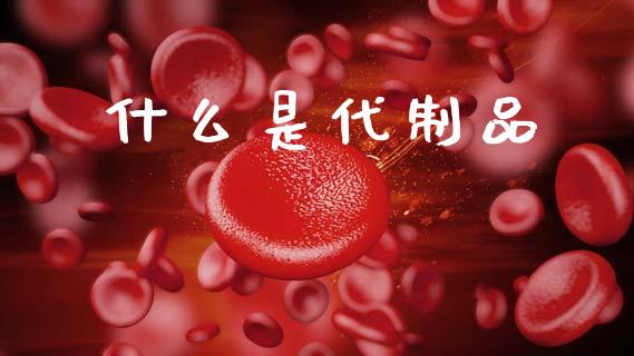 什么是代制品_https://cj001.lansai.wang_会计问答_第1张