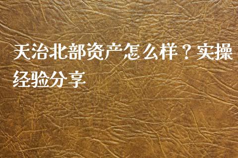 天治北部资产怎么样？实操经验分享_https://cj001.lansai.wang_会计问答_第1张