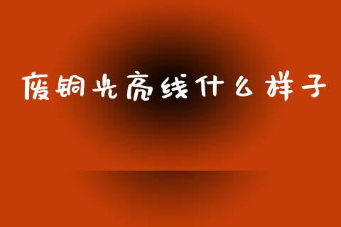 废铜光亮线什么样子_财经问答_第1张_财经百问网 废铜光亮线什么样子_https://cj001.lansai.wang_财经问答_第1张