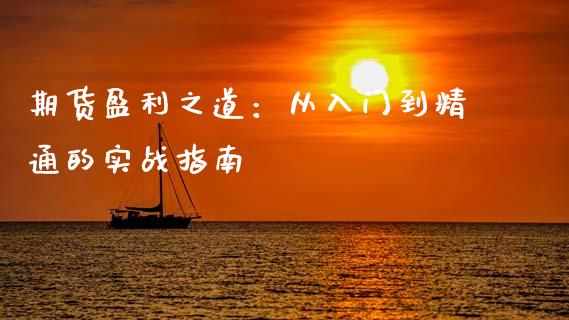 期货盈利之道：从入门到精通的实战指南_https://cj001.lansai.wang_会计问答_第1张