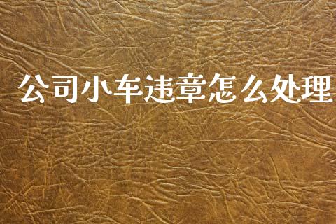 公司小车违章怎么处理_https://cj001.lansai.wang_保险问答_第1张