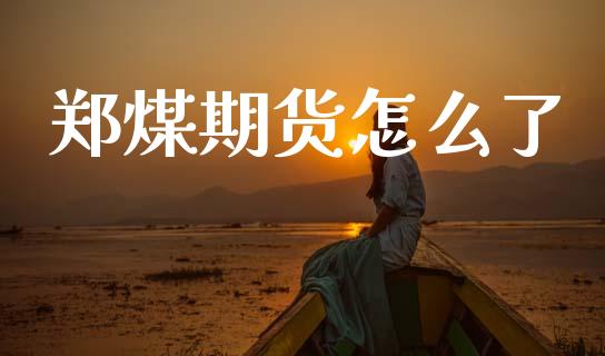 郑煤期货怎么了_财经百问_第1张_财经百问网 郑煤期货怎么了_https://cj001.lansai.wang_财经百问_第1张