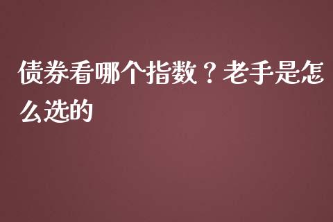债券看哪个指数？老手是怎么选的_https://cj001.lansai.wang_保险问答_第1张