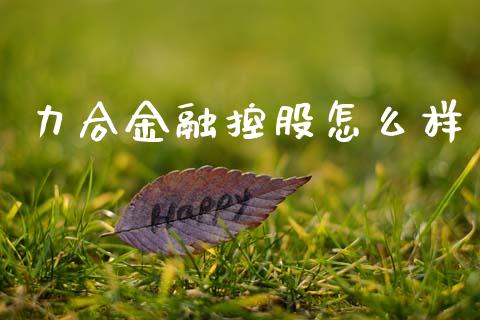 力合金融控股怎么样_https://cj001.lansai.wang_财经百问_第1张