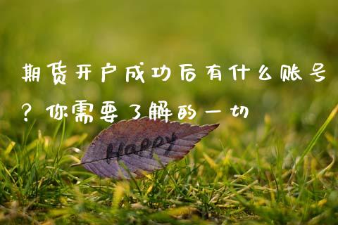 期货开户成功后有什么账号？你需要了解的一切_https://cj001.lansai.wang_金融问答_第1张