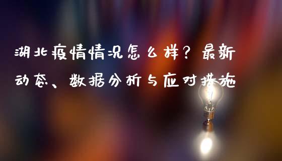 湖北疫情情况怎么样？最新动态、数据分析与应对措施_https://cj001.lansai.wang_期货问答_第1张