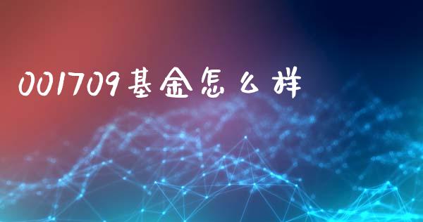 001709基金怎么样_https://cj001.lansai.wang_会计问答_第1张