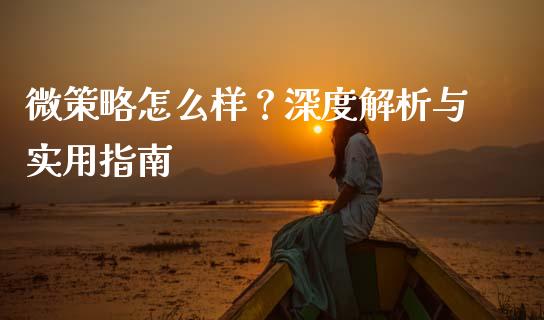 微策略怎么样？深度解析与实用指南_https://cj001.lansai.wang_金融问答_第1张