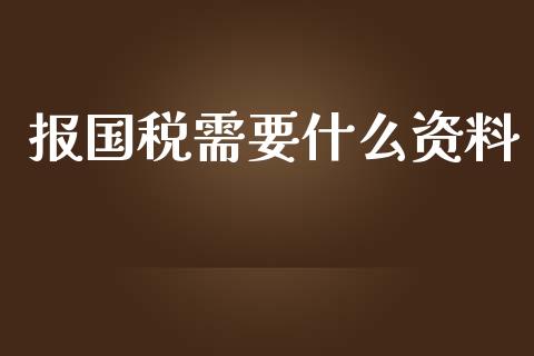 报国税需要什么资料_https://cj001.lansai.wang_会计问答_第1张