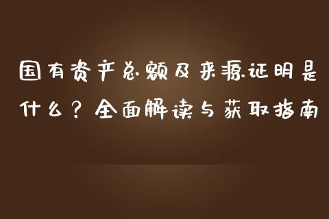 国有资产总额及来源证明是什么？全面解读与获取指南_https://cj001.lansai.wang_金融问答_第1张