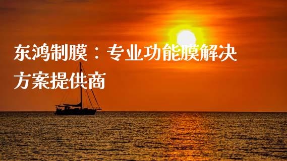东鸿制膜：专业功能膜解决方案提供商_https://cj001.lansai.wang_股市问答_第1张