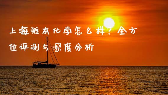 上海雅本化学怎么样？全方位评测与深度分析_https://cj001.lansai.wang_会计问答_第1张