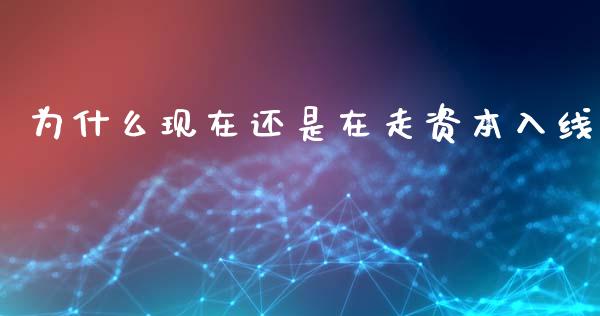 为什么现在还是在走资本入线_https://cj001.lansai.wang_财经百问_第1张