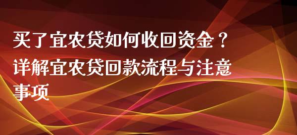 买了宜农贷如何收回资金?详解宜农贷回款流程与注意事项_财经百问_第1张_财经百问网 买了宜农贷如何收回资金?详解宜农贷回款流程与注意事项_https://cj001.lansai.wang_财经百问_第1张