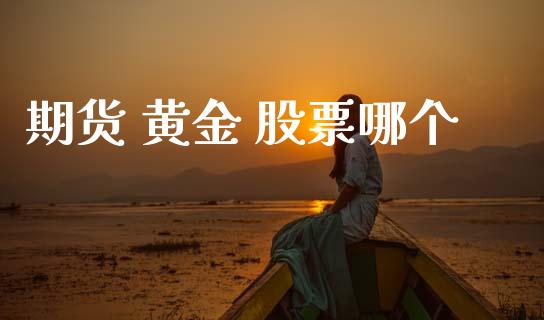 期货 黄金 股票哪个_https://cj001.lansai.wang_理财问答_第1张