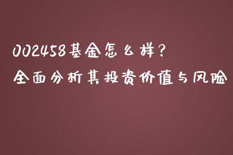 002458基金怎么样？全面分析其投资价值与风险_https://cj001.lansai.wang_理财问答_第1张