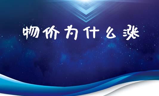 物价为什么涨_https://cj001.lansai.wang_会计问答_第1张