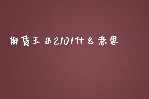 期货玉米2101什么意思_https://cj001.lansai.wang_保险问答_第1张