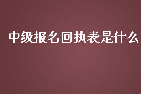 中级报名回执表是什么_https://cj001.lansai.wang_会计问答_第1张