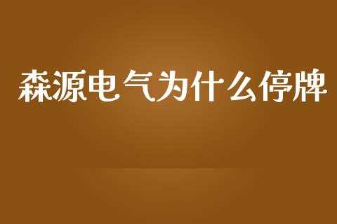 森源电气为什么停牌_https://cj001.lansai.wang_会计问答_第1张