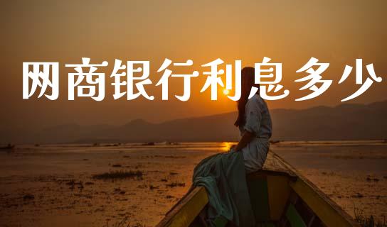 网商银行利息多少_https://cj001.lansai.wang_理财问答_第1张