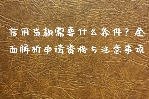 信用贷款需要什么条件？全面解析申请资格与注意事项_https://cj001.lansai.wang_期货问答_第1张