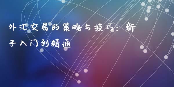 外汇交易的策略与技巧：新手入门到精通_https://cj001.lansai.wang_财经问答_第1张