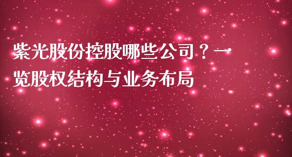 紫光股份控股哪些公司？一览股权结构与业务布局_https://cj001.lansai.wang_理财问答_第1张